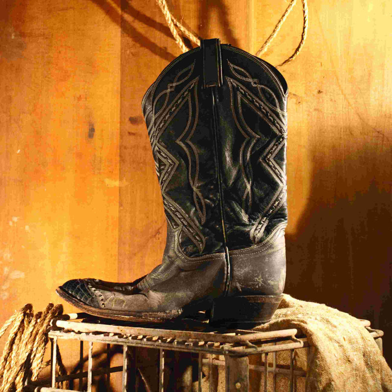 " Cowboy Boot ", 12" H x 12" W
