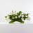 Silk Tulip Arrangement in Vase