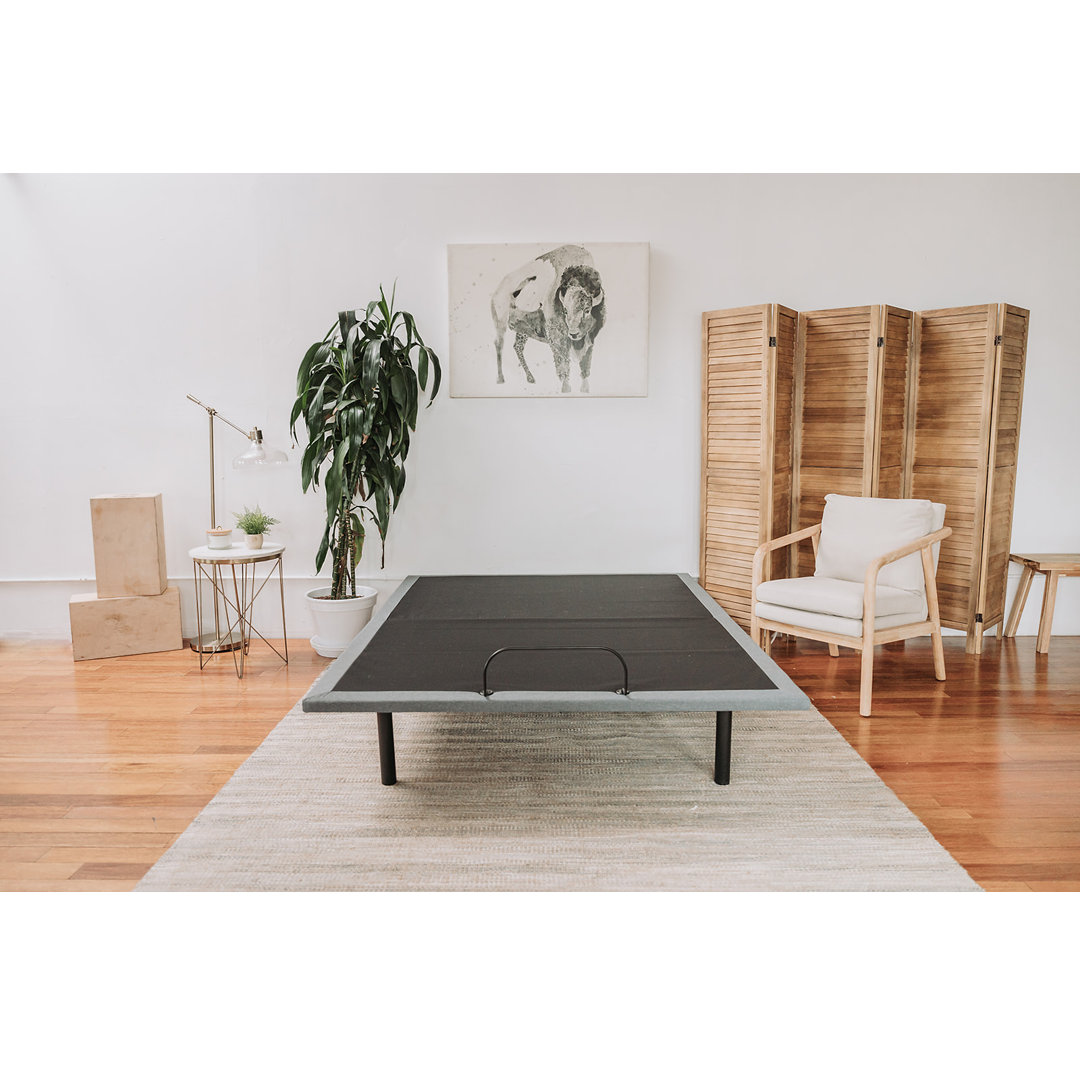 Clute Adjustable Bed Alwyn Home Size:  Twin Xl