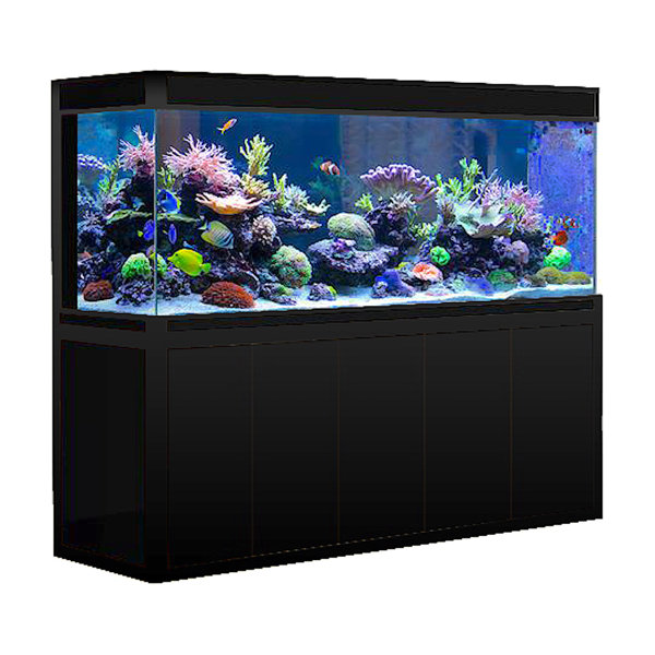 WARRANTY INCLUDED! 45 gallon GLASS rectangle table aquarium fish tank full  setup