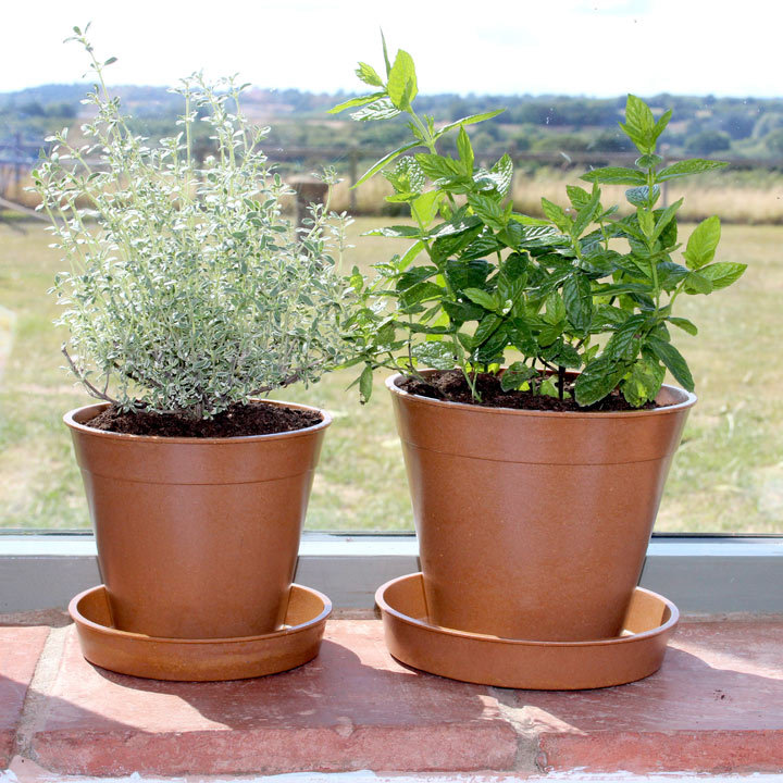 Smead Pot Planter
