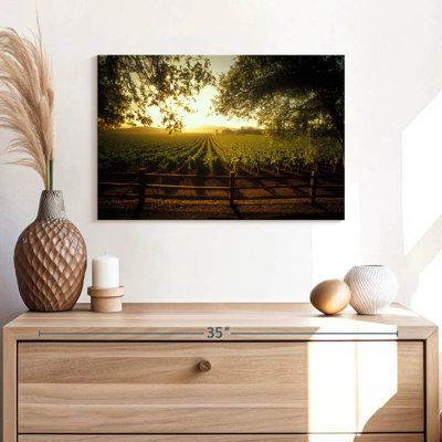 Alvord Oakville Vineyard