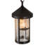 Lanterne suspendue d’extérieur 1 luminosité Bonefish Fulton