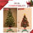 Live Tree Stand