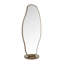 Mirror Irregular Iron Mirror