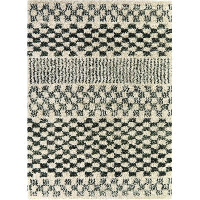 Mendieta Green Checkered Shag Area Rug