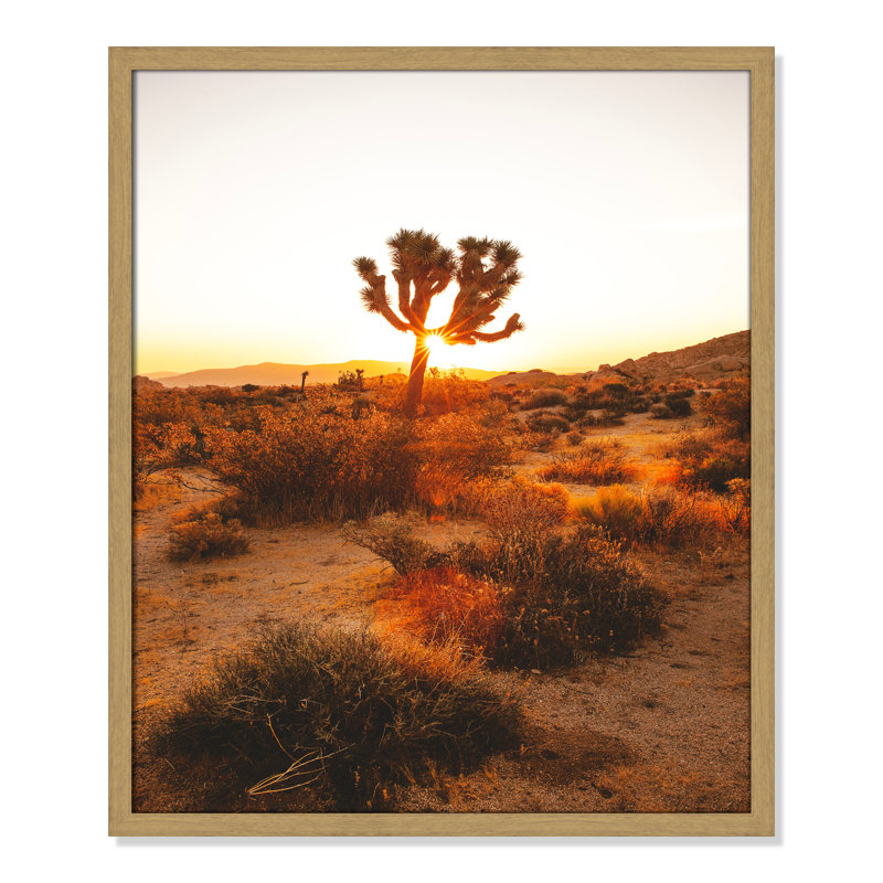 «Desert Dawn» par Joshua Earle - reproduction imprimée, H 25,5 po x l 21,5 po x P 0,75 po, Cadre naturel mince, Pas de tapis
