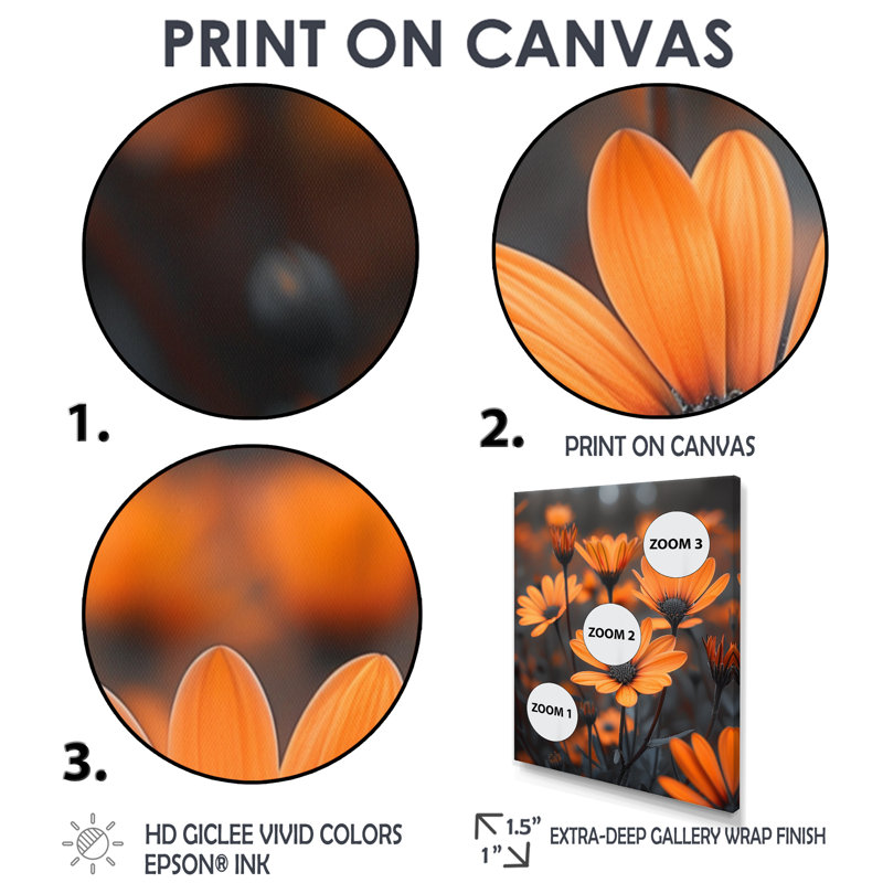 Mono, orange, noir, rustique, beauté, marguerites - marguerites, art mural, salon, Cadre flottant blanc