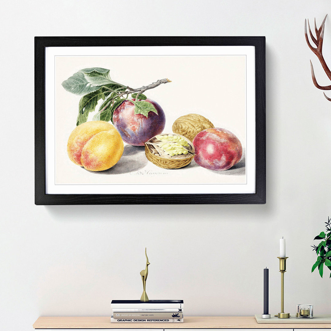 Peaches by Michiel Van Huysum - Picture Frame Painting Print