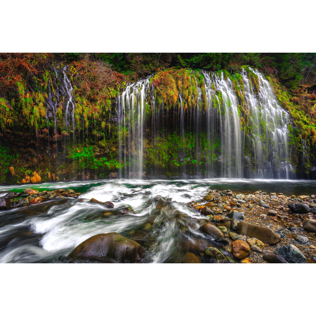 Mossbrae Falls, Kalifornien von Bartfett - Druck