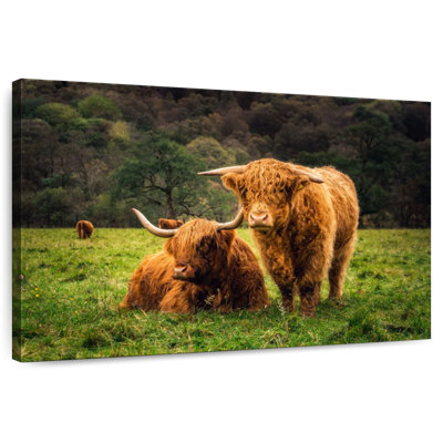 Brampt Highland Cow Friends