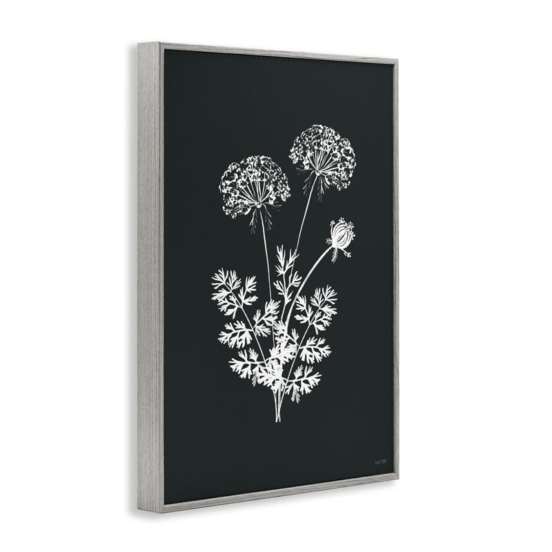 Art de grappes d'herbes noires par House Fenway bg-175, Estampe numérique Farmhouse, H 24 po x l 16 po