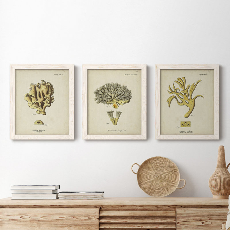 Écru corail X - ensemble de 3 peintures sur toile encadrées, Blanc, H 20 po x l 51 po x P 1,5 po