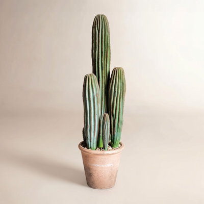 Faux Cactus Succulent in Terracotta Pot