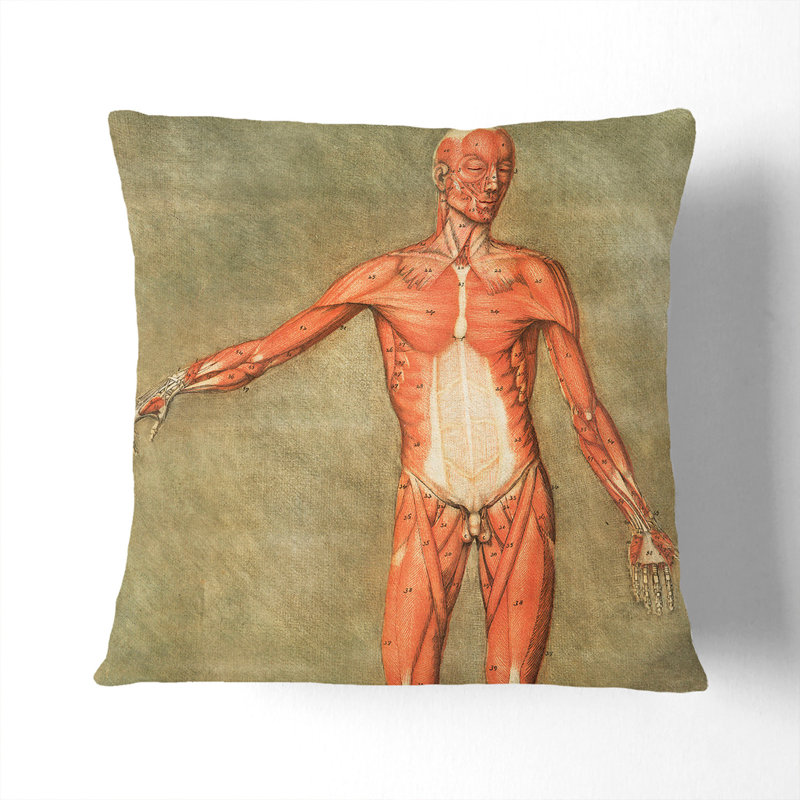 Square Cushion, Stone, 55cm H x 55cm W x 20cm D