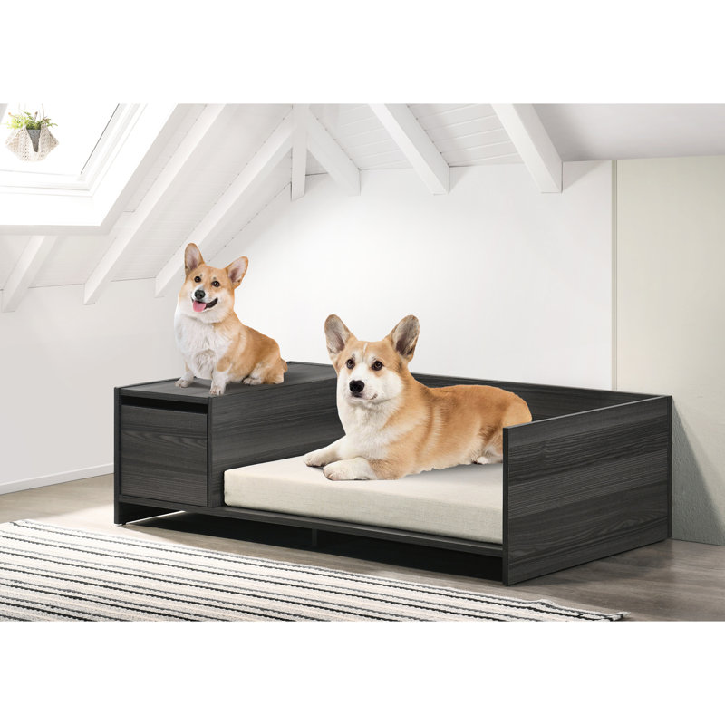Lit pour animaux gris foncé avec rangement latéral et coussin de confort - 47 po de largeur, 52 po de profondeur