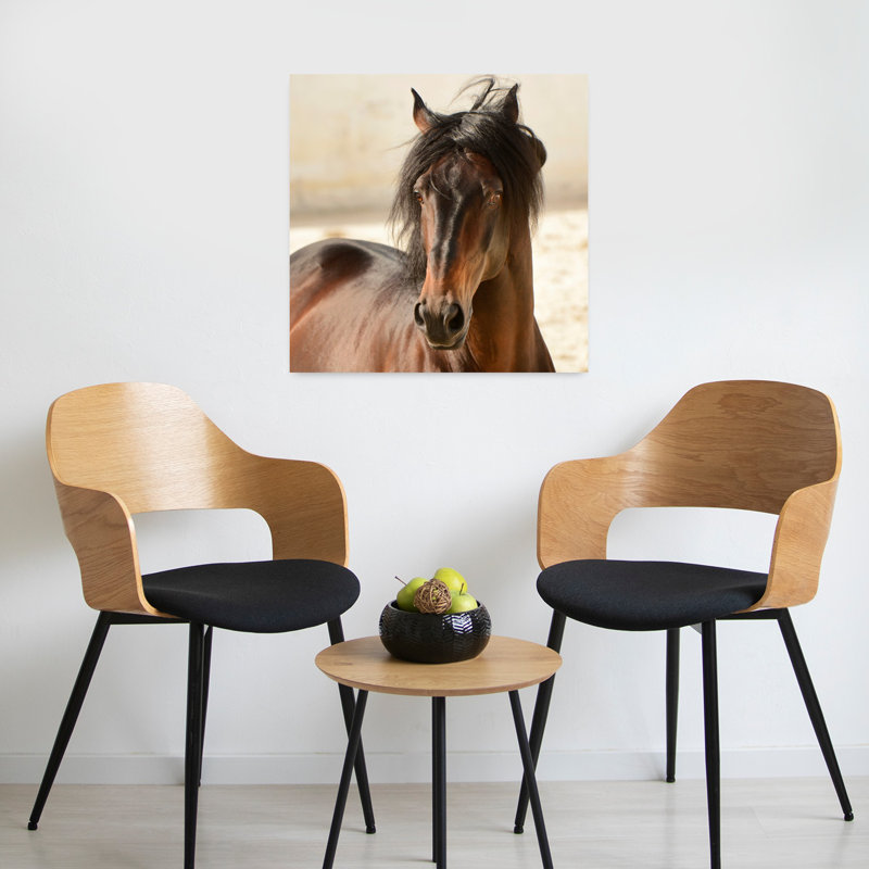 Casanova, cheval contemporain, art animalier, H 24 po x l 24 po