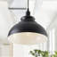 Ellissa 1-Light Farmhouse Dimmable Black Pendant Light Fixtures