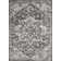 Ragheb Oriental Indoor Rug