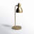 Danya Metal Gooseneck Task Table Lamp