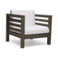 Fauteuil de patio extérieur avec coussins-253815250