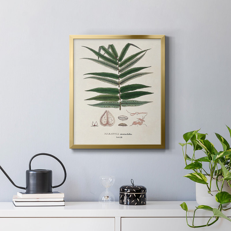 Toile encadrée de qualité supérieure Botanical Society, Or, H 24 po x l 20 po