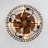Branagh 19" Enclosed Low Profile Ceiling Fan with LED Lights and Remote Control-319103378