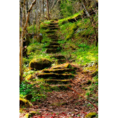 " The Path "