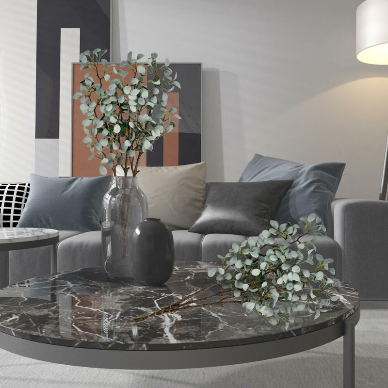 Jet d'eucalyptus