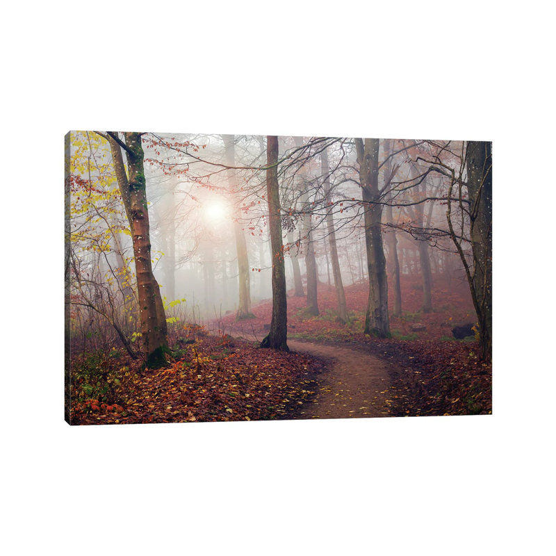 Autumn Sun - Wrapped Canvas Print