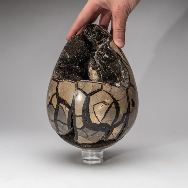 Septarian Druzy Egg