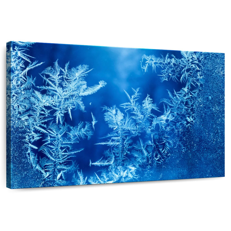 Alvord Winter Frost Forms