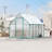 8×10 ft Outdoor Polycarbonate Greenhouse, Walk-In with Quick-Setup Aluminum Frame, Adjustable Roof Vent-124605516-124605525