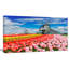 «Dutch Windmills and Garden», reproduction de photo sur toile tendue-20880362