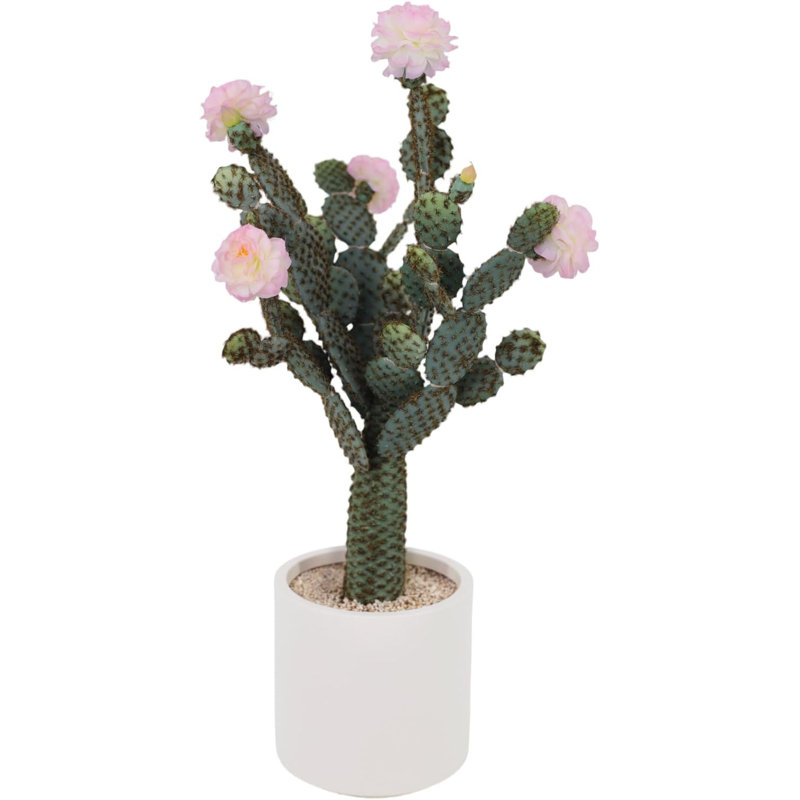82cm Plant