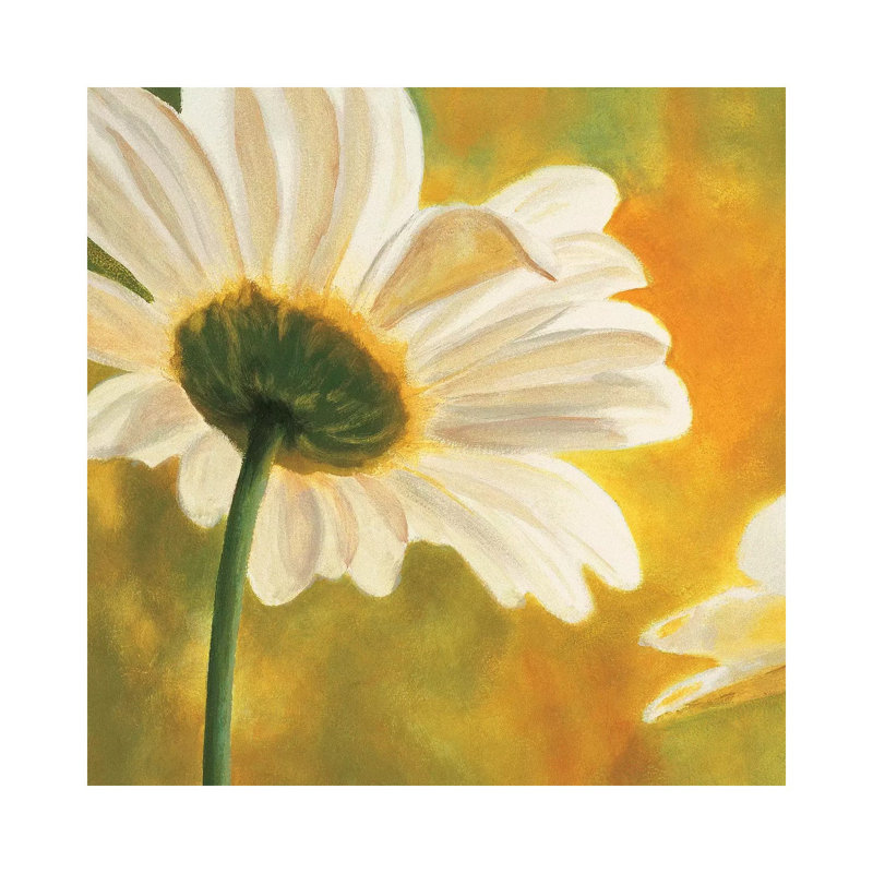 Marguerites Dans Le Soleil I 1 Piece Wrapped Canvas Wall Art, 30.48 cm H x 30.48 cm W