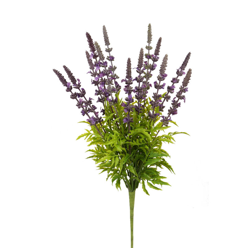 LAVENDER BUSH