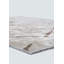 Rapture Abstract Area Rug-1175541419