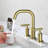 2-handle Bathroom Faucet-67081261
