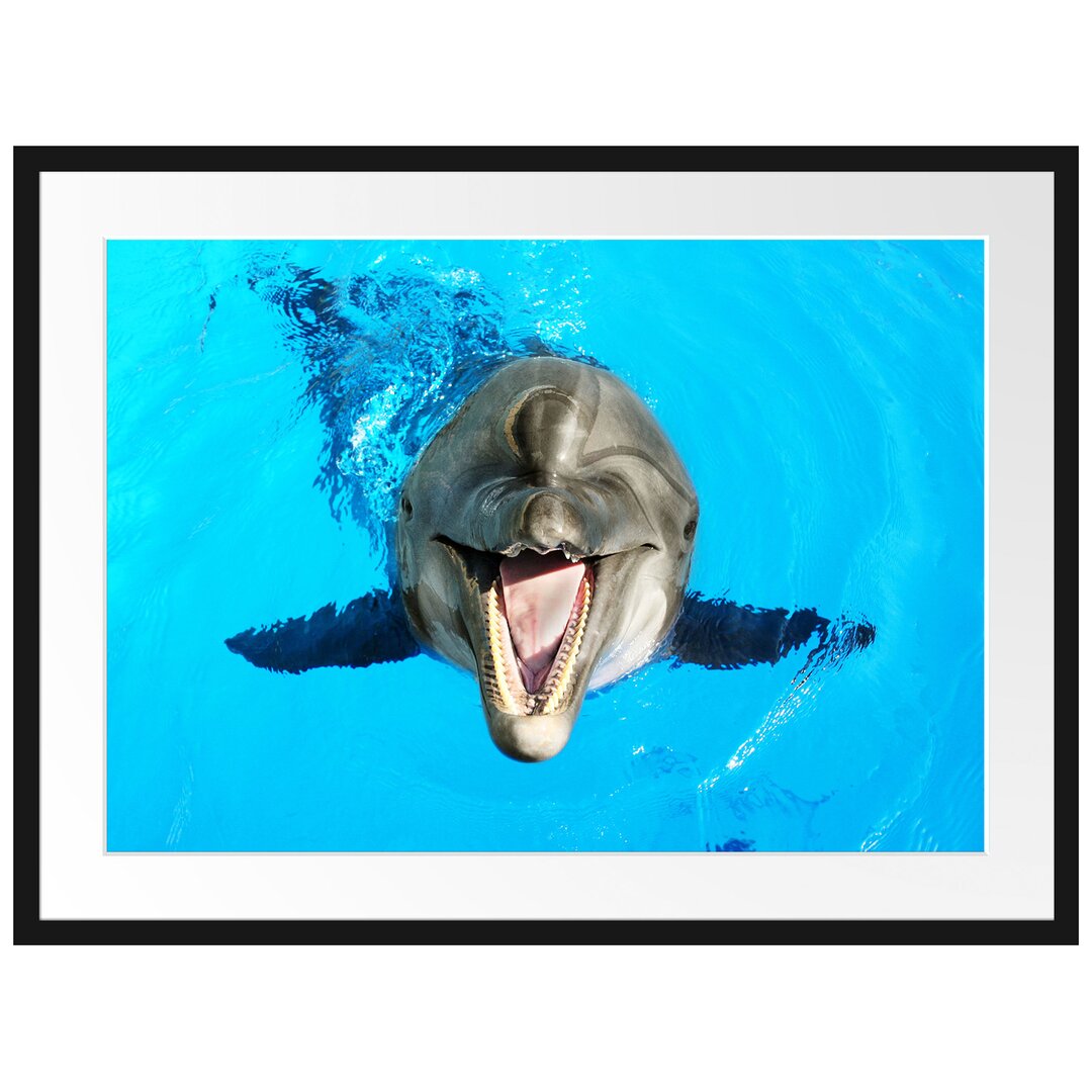 Gerahmtes Poster Delfin lacht