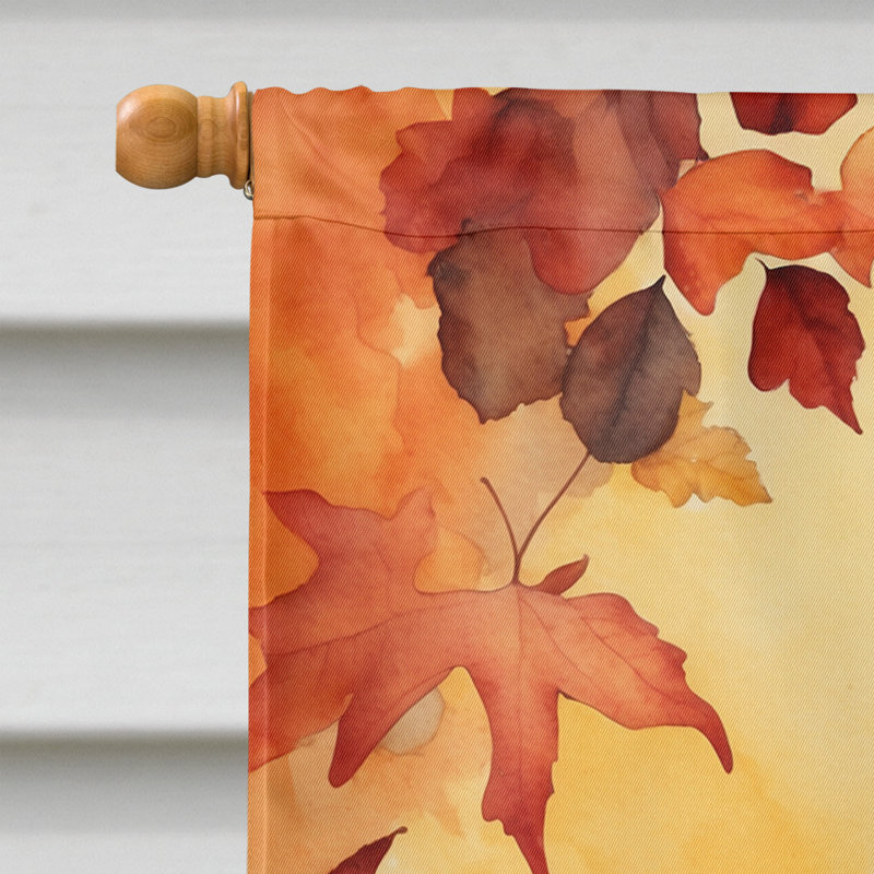 Chat en feuilles d'automne, Cymric