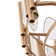 20" Aavyn 5 - Blade Caged Ceiling Fan with Remote Control and Light Kit Included
