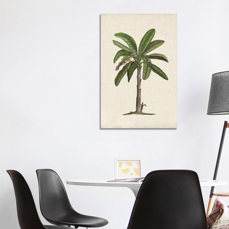 British Palms II by Naomi McCavitt - Wrapped Canvas Gallery-Wrapped Canvas Giclée, 101.6 cm H x 66.04 cm W x 3.175 cm D