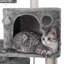 152cm H Cat Tree-515681126