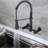 Dilon Pull Down Kitchen Faucet-69489759