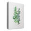 Eucalyptus II - peinture sur toile tendue-1488958322
