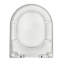 D-Shape Hard Toilet Seat-57402401