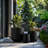 Brennus 3-Piece Cement Pot Planter Set-1068921506