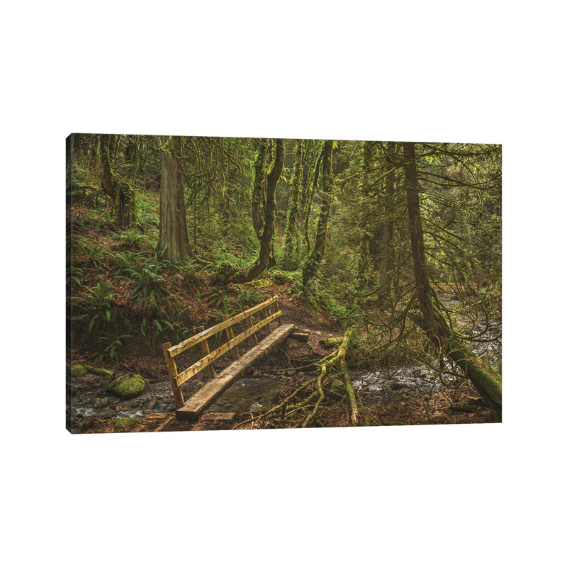 Let The Light In by Louis Ruth - Wrapped Canvas Print, 66.04cm H x 101.6cm Wx 1.905cm D