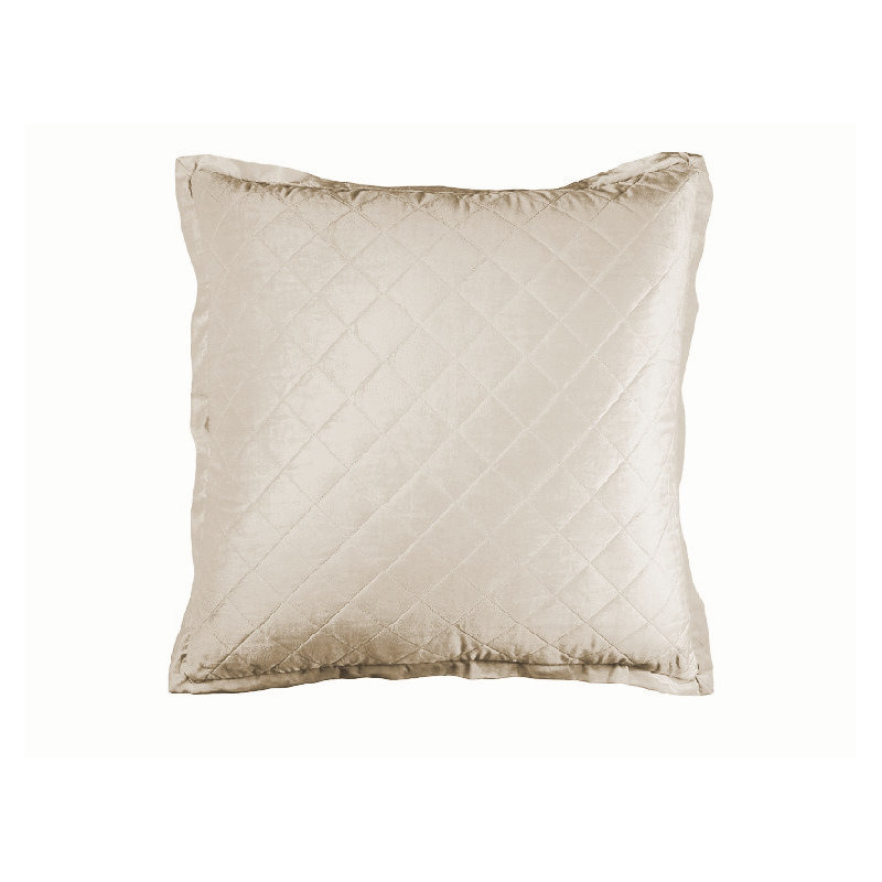 Chloe Velvet Euro Pillow Cover & Insert, Ivory